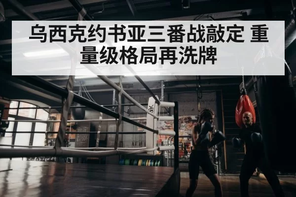 boxer training